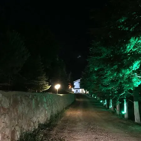 Mutlu * Yalova (Yalova)