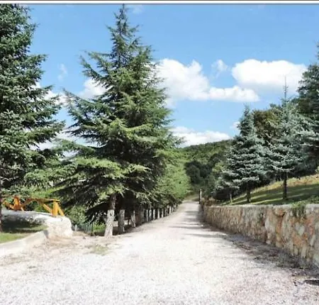 Mutlu Yalova (Yalova)